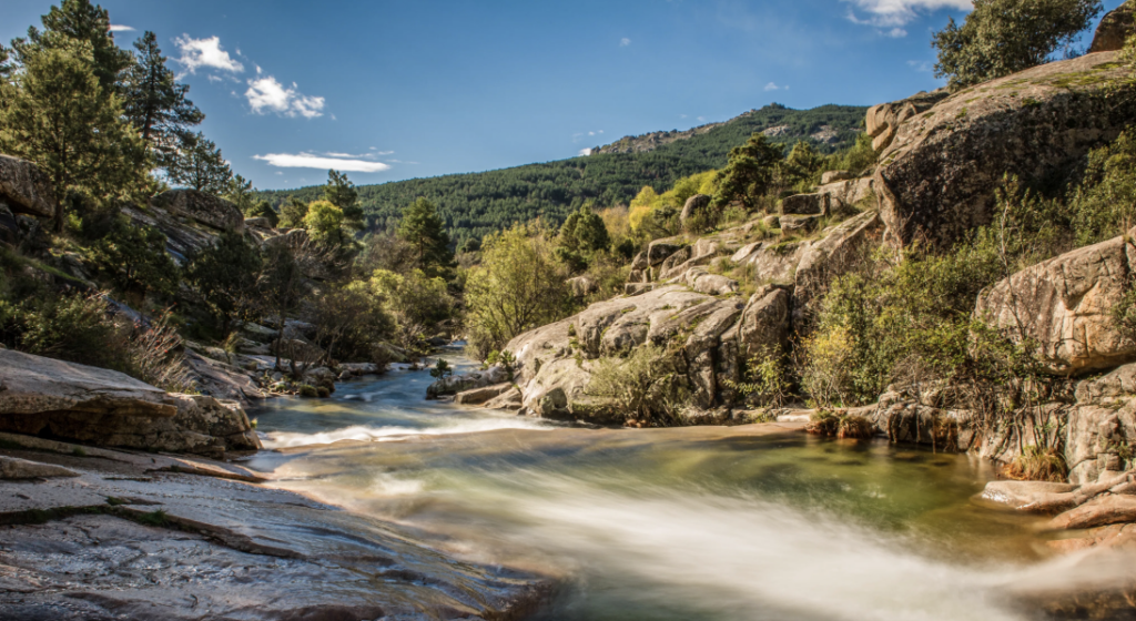 Lugares pet-friendly cerca de Madrid